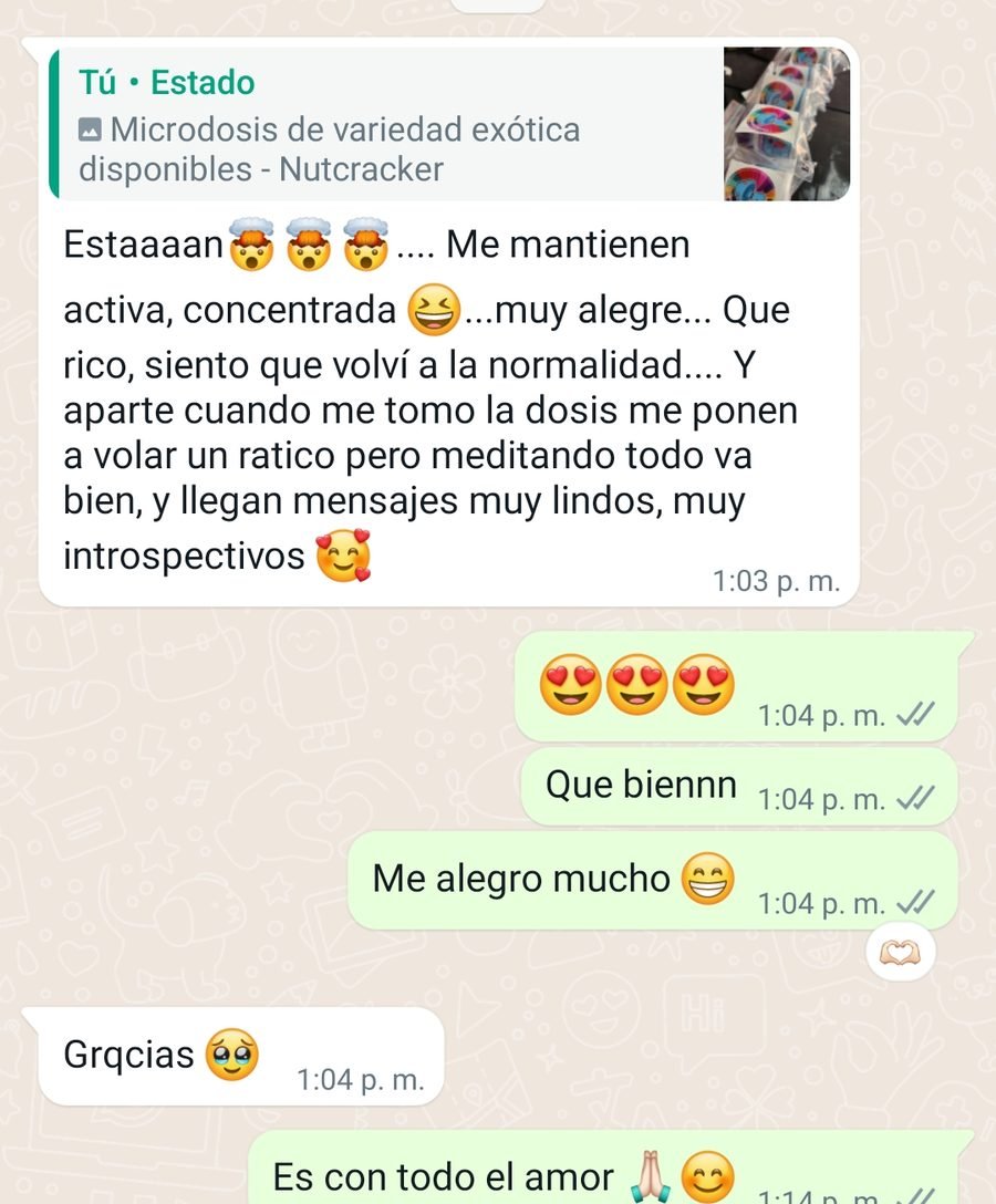 Captura de la conversación, con los datos de la persona recortados