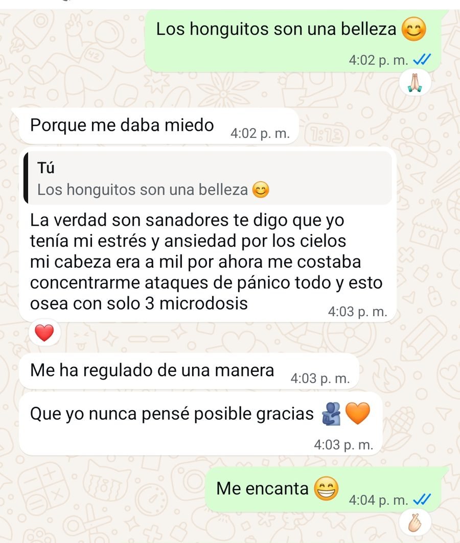 Captura de la conversación, con los datos de la persona recortados